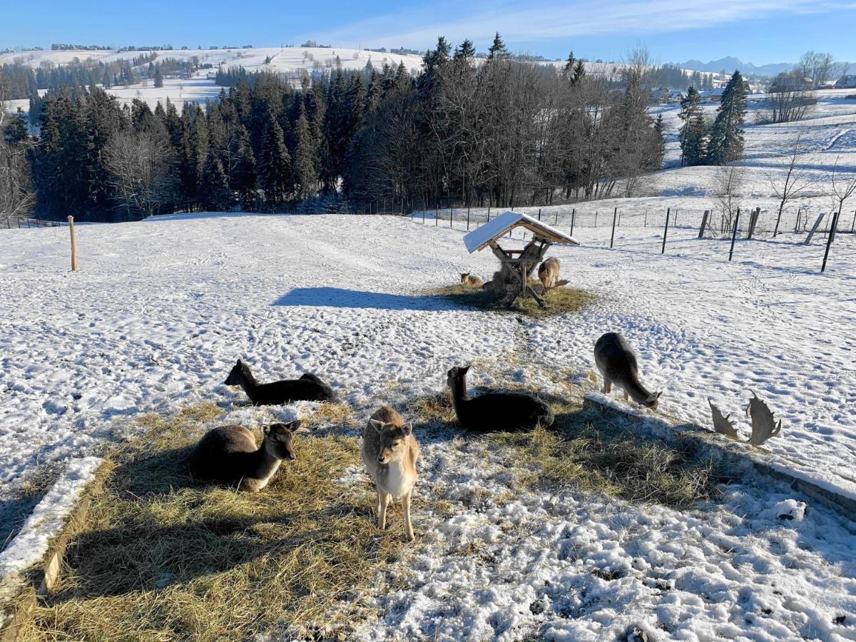 Osrodek Wypoczynkowy U Bartka Bed & Breakfast Czerwienne Dış mekan fotoğraf